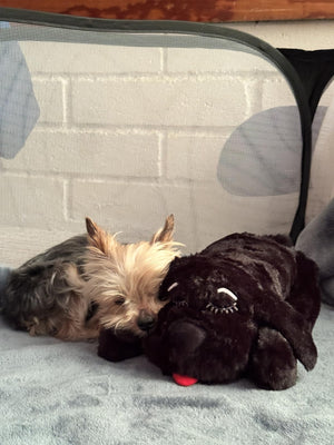 Marta G review image