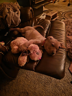 Pablo M review image