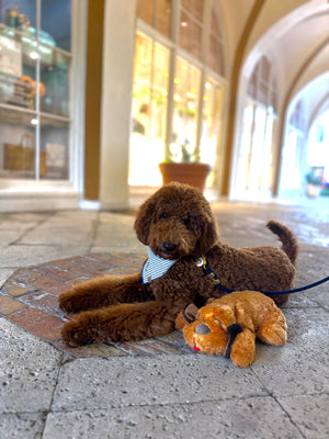 Nuria T review image