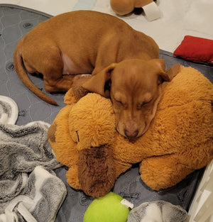 Raúl S review image