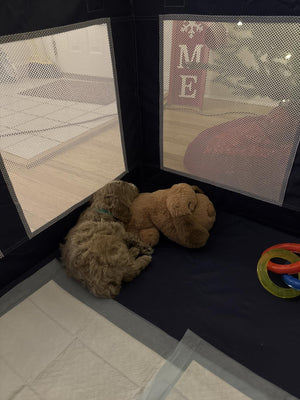 Sonia P review image