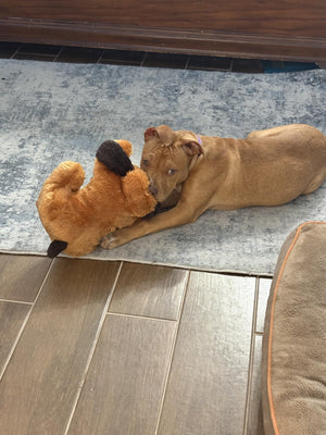 Claudia R review image