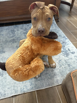 Claudia R review image 2