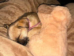 Elena T. review image