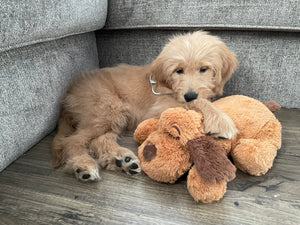 Sergio L. review image