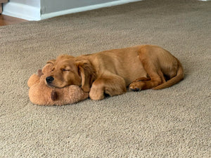 Carlos M. review image