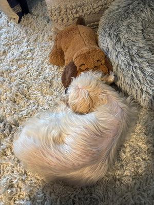 Cristina R. review image