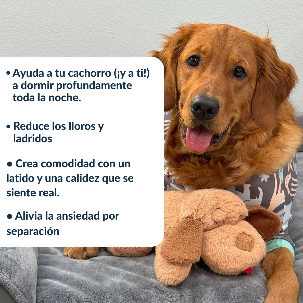 Compañero de Abrazo para Mascotas
