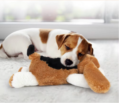 Compañero de Abrazo para Mascotas