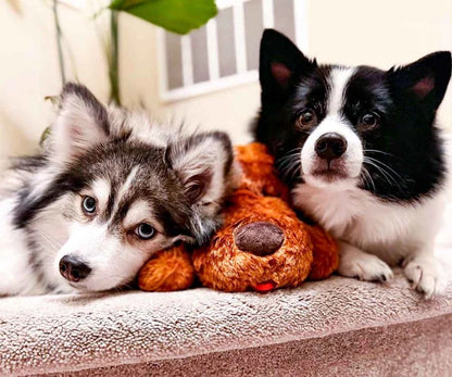 Compañero de Abrazo para Mascotas